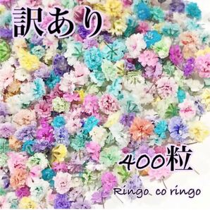 かすみ草 ドライフラワー ☆訳あり☆ 400粒 2