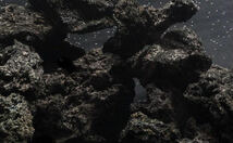 高濾過 溶岩石 3kg 50-100㎜ 黒 水槽 アクアリウム パルダリウム コケリウム テラリウム ビオトープ_画像1