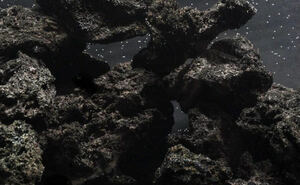 高濾過 溶岩石 3kg 50-100㎜ 黒 水槽 アクアリウム パルダリウム コケリウム テラリウム ビオトープ