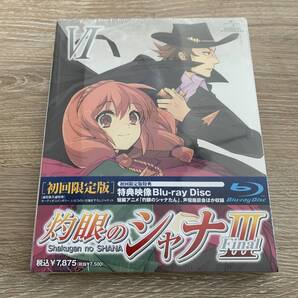 灼眼のシャナIII FINAL 第VI巻:未使用