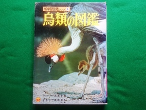 新学習図鑑シリーズ4　鳥類の図鑑　小学館■昭和50年　重版　函付き