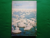 新学習図鑑シリーズ4　鳥類の図鑑　小学館■昭和50年　重版　函付き_画像2