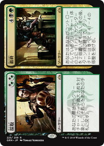 採取+最終/Find+Finality [GRN] ラヴニカのギルド MTG 日本語 225 H1