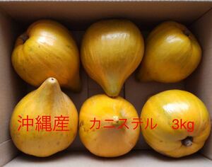 沖縄産　大玉カニステル　3kg 無農薬　エッグフルーツ　生活習慣予防