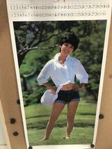 桜田淳子 カレンダー 魅惑の恋人 1979年カレンダー 森一成 縦73㎝ 横35㎝ B7☆_画像2