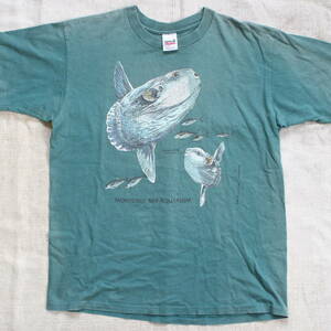 1998年 モントレーベイ アクアリウム マンボー ヴィンテージTシャツ USA アメリカ 水族館 フグ 魚 フィッシュ 古着anvilフェード アート