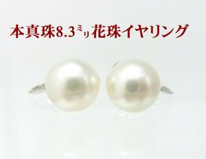 あこや本真珠　花珠 8.3ミリ珠　14金ホワイトゴールド製 　イヤリング 卸価格　送料無料/商品動画
