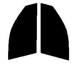 ライトスモーク　50% 運転席、助手席　ビーゴ J200G・J210G　カット済みフィルム