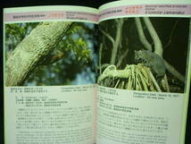 沖縄の文化財Ⅰ.天然記念物編★生物学.動物.植物.地質.天然保護.繁殖地.生態/ほか★沖縄県教育委員会■37/3_画像8