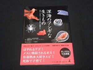 送料140円　深海のフシギな生きもの　水深11000メートルまでの美しき魔物たち　藤倉克則　ドゥーグル リンズィー 監修　深海生物　