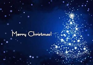 【クリスマポストカードのLac et Soleil】「Merry Christmas」ブルーニ輝くクリスマスツリー ハガキはがき絵, アンティーク、コレクション, 雑貨, 絵葉書