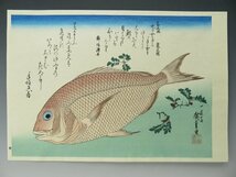 歌川 広重画 悠々洞出版 浮世絵 木版画 「魚づくし」全20枚揃【03】_画像8