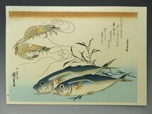 歌川 広重画 悠々洞出版 浮世絵 木版画 「魚づくし」全20枚揃【03】_画像5