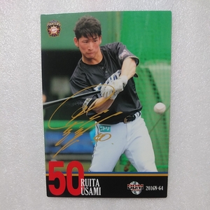 ヤフオク 宇佐美 野球 スポーツ の落札相場 落札価格 ヤフオク 宇佐美 野球 スポーツ の落札相場 落札価格