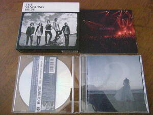 THE VANISHING BRIDE/BIGMAMA CD+DVD