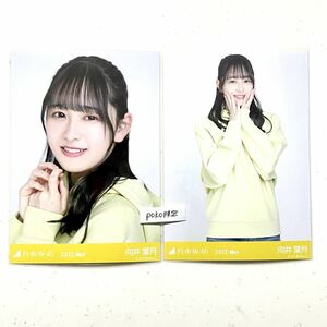 ◎乃木坂46 公式グッズ 生写真 2枚 向井葉月　セミコンプ 2022.may 会場限定 バースデーライブ 10周年記念　ビタミンカラー ヨリチュウ