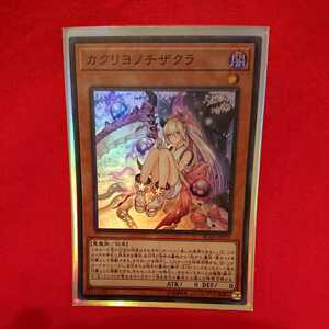 遊☆戯☆王 遊戯王 レアコレ カクリヨノチザクラ