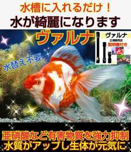 水槽の水が綺麗になります【ヴァルナ23センチ】有害物質を強力抑制！病原菌や感染症を防ぎ透明度が抜群に☆水槽に入れるだけ！水替え不要に