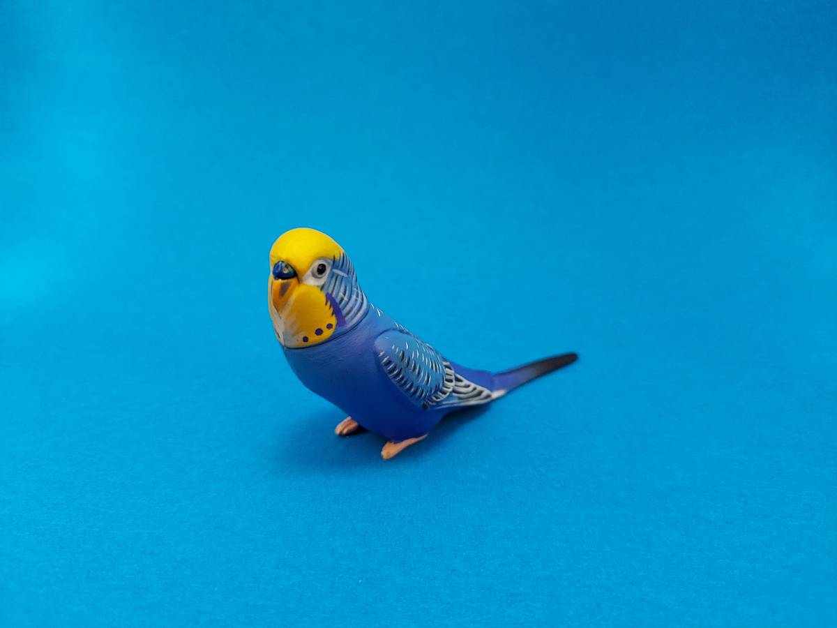 ヤフオク! -セキセイインコ(フィギュア)の中古品・新品・未使用品一覧