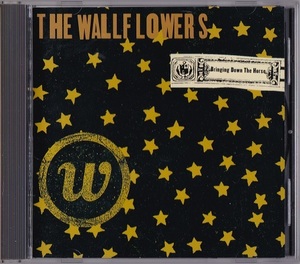 The Wallflowers / Bringing Down The Horse (日本盤CD) ボーナス3曲 Jakob Dylan ザ・ウォールフラワーズ