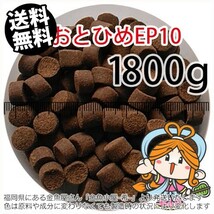 178-06-016 日清丸紅飼料おとひめEP10（沈降性）1800g※2kgから規格変更　金魚小屋-希-福岡_画像1