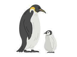 ペンギンさんの親子　1円フリー素材　相互評価　送料無料　
