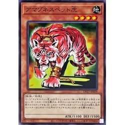 ☆新品未使用☆遊戯王　アマゾネスペット虎　DP27-JP039・ノーマル・1枚