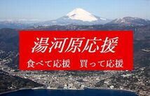 湯河原甘夏約10kg 防腐剤不使用 農家直送 指定地域送料無料 ご家庭用訳あり不選別 あまなつ 夏みかん 柑橘_画像7