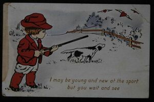 11590 戦前 絵葉書 外国製 エンタイア 米国 MILTON,MASS. FEB 14 1918 狩猟をする少年と犬 ハートマークの鳥 右上隅折れ有り 左側シミ