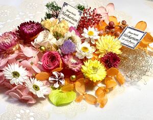ハーバリウム 花材セット