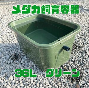 メダカ飼育容器 タライ 36L グリーン オーバーフロー加工済