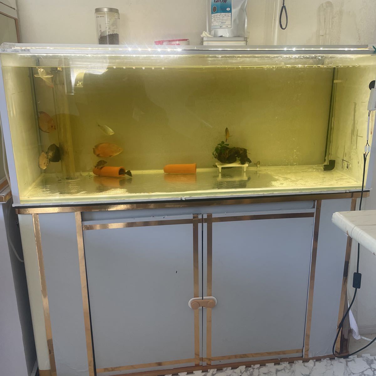 格安SALEスタート コトブキ 1200 水槽 水槽台 セット ガラス フレーム