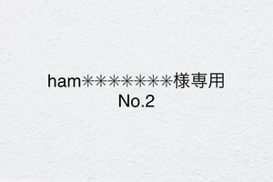 ham様専用 No.2
