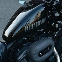 Harley davidson 2017 XL1200CX roadster ハーレー スポーツスター ロードスター_画像6