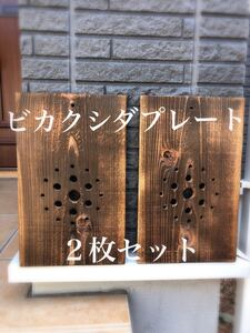 【2枚】 ビカクシダ コウモリラン 着生板 板付け 胡蝶蘭 洋ラン 杉板