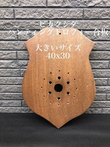 【大きいサイズ】 ビカクシダ 着生板 コウモリラン 板付け ハンティングトロフィー おしゃれ 大株