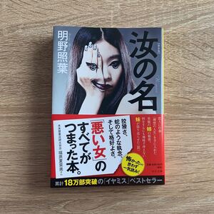 小説 汝の名 明野照葉