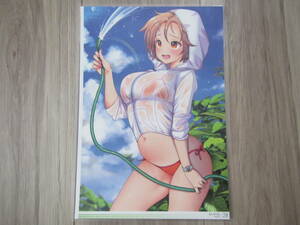 [065]B5 size .... .. summer. wet ..kanojo illustration .book@ cut . laminate processing beautiful young lady poster * including in a package possible 