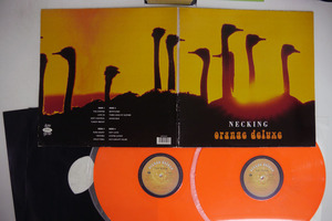 英 ORANGE DELUXE/NECKING/DEAD DEAD GOOD GOOD LP 4