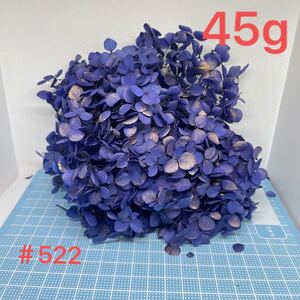 SALE522プリザーブドフラワー アナベルあじさい 45gハーバリウム花材 ピラミッドアジサイ ハーバリウム
