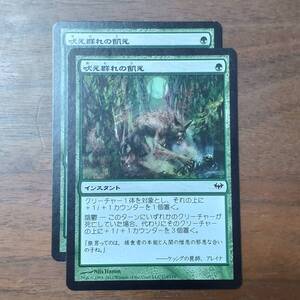 MTG/吠え群れの飢え/闇の隆盛/コモン/2枚/中古品