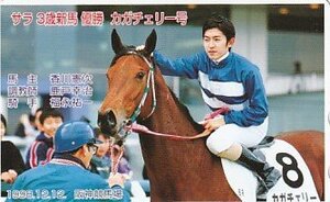 ●カガチェリー号 福永祐一騎手 阪神競馬場テレカ