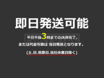 サイドカナード 6P 左右セット 分割式 艶あり ステップ スポイラー 割れに強い ABS製 セレナ C27 ジューク ノート エルグランド/103-63_画像9