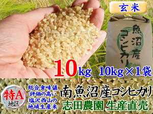 南魚沼産コシヒカリ玄米10kg(10k×1)令和3年産・毎日発送