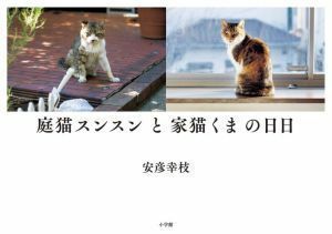 庭猫スンスンと家猫くまの日日／安彦幸枝(著者)