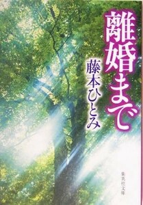 離婚まで 集英社文庫／藤本ひとみ(著者)