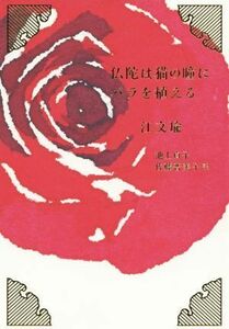 仏陀は猫の瞳にバラを植える／江文瑜(著者),池上貞子(訳者),佐藤普美子(訳者)