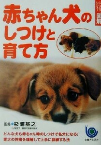 hi. eyes . understand! illustration baby dog. upbringing ... person .. eyes . understand! illustration |... life company ( compilation person ), Japanese cedar . basis .