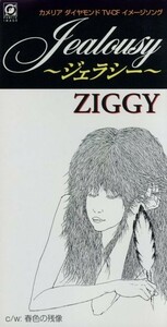 Ｊｅａｌｏｕｓｙ～ジェラシー～／ＺＩＧＧＹ