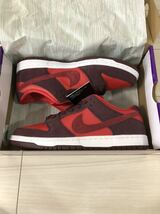 送料無料 28cm NIKE SB DUNK LOW PRO FRUITY CHERRY BURGUNDY TEAM RED ナイキ ダンク チェリー バーガンディー レッド　DM0807-600 10_画像3